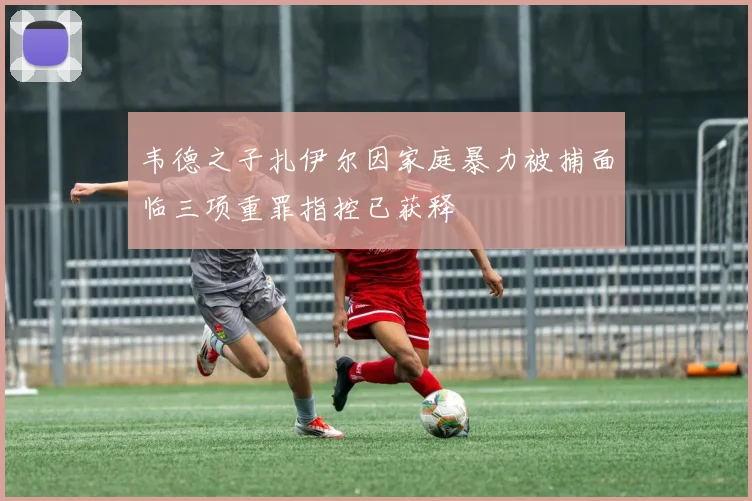 韦德之子扎伊尔因家庭暴力被捕面临三项重罪指控已获释