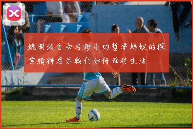 姚明谈自由与渺小的哲学蚂蚁的探索精神启示我们如何面对生活